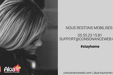ConsonanceWeb - Blog